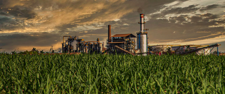 usina sucroalcooleira